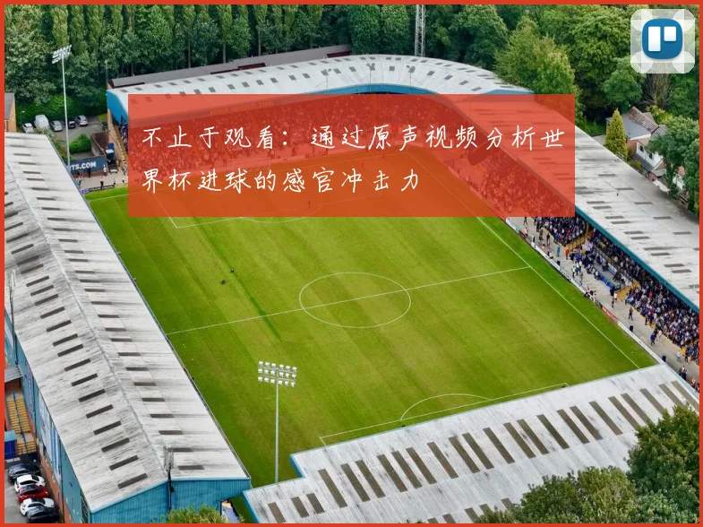 不止于观看:通过原声视频分析世界杯进球的感官冲击力