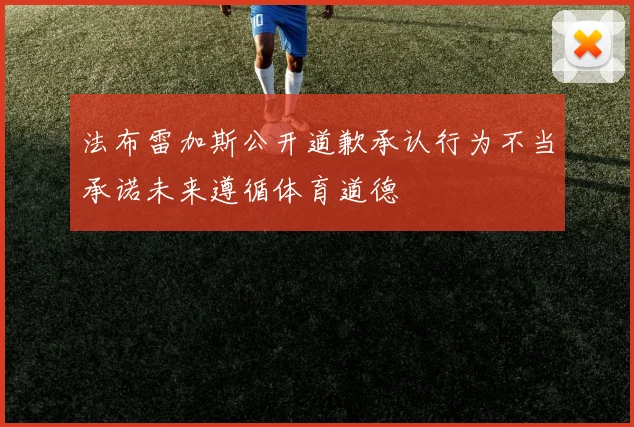 法布雷加斯公开道歉承认行为不当承诺未来遵循体育道德