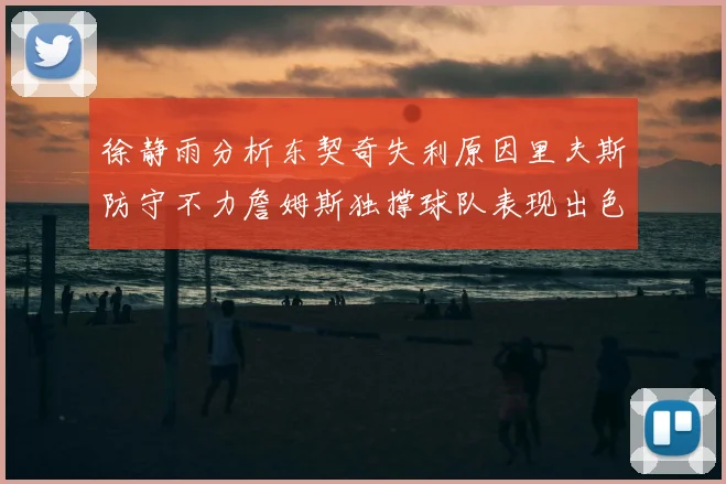 徐静雨分析东契奇失利原因里夫斯防守不力詹姆斯独撑球队表现出色