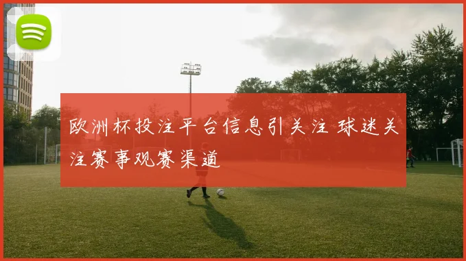 欧洲杯投注平台信息引关注 球迷关注赛事观赛渠道
