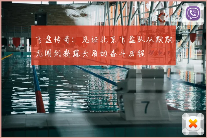 飞盘传奇：见证北京飞盘队从默默无闻到崭露头角的奋斗历程