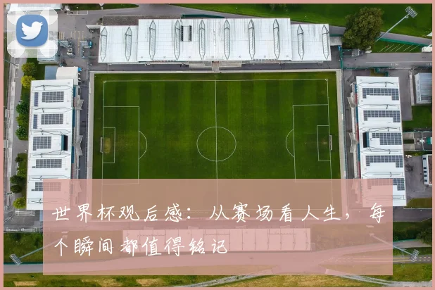 世界杯观后感：从赛场看人生，每个瞬间都值得铭记