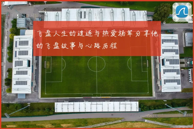飞盘人生的追逐与热爱杨军分享他的飞盘故事与心路历程