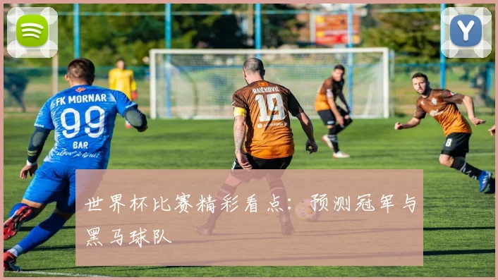 世界杯比赛精彩看点:预测冠军与黑马球队