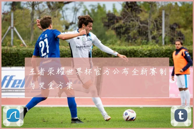 王者荣耀世界杯官方公布全新赛制与奖金方案