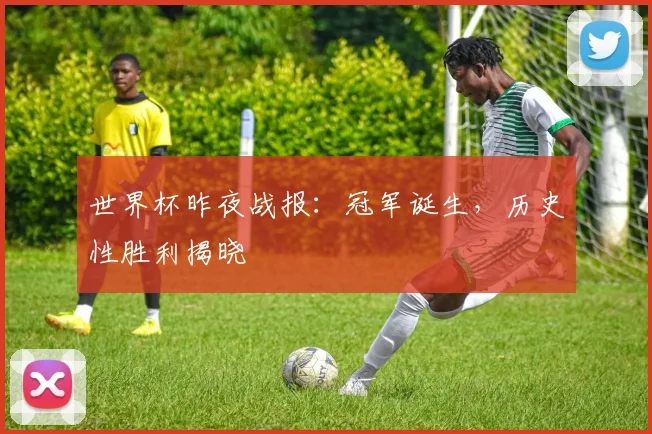 世界杯昨夜战报：冠军诞生，历史性胜利揭晓