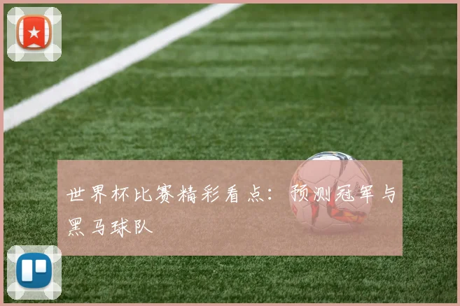 世界杯比赛精彩看点:预测冠军与黑马球队